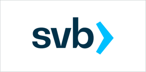 SVBLogoinBox